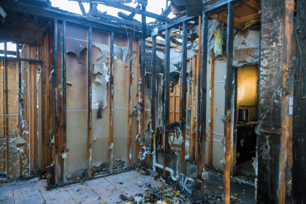 Professional Fire Damage Removal technician working in Olympia, SC